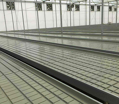 苗床網(wǎng)案例